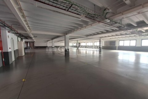 Propiedad comercial de 7623 m² en alquiler en Principado De Andorra (Ninguna Poblacion Tiene C.P.), Lérida, Cataluña, Spain № 6146 - foto 14