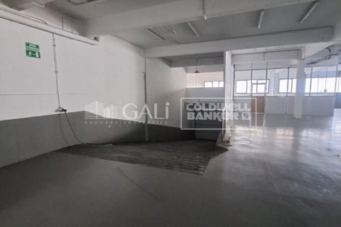 Propiedad comercial de 7623 m² en alquiler en Principado De Andorra (Ninguna Poblacion Tiene C.P.), Lérida, Cataluña, Spain № 6146 - foto 18