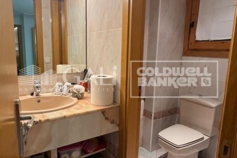 232 m² office à louer à Principado De Andorra (Ninguna Poblacion Tiene C.P.), Lleida, Catalonia, Spain № 6141 - photo 19