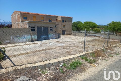 Купить земельный участок в Перафорт, Испания 950м², № 5112 - фото 6