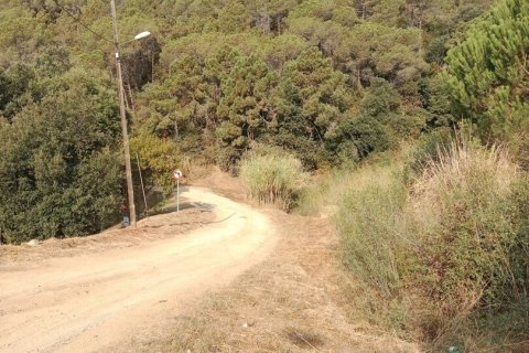 Купить земельный участок в Сан-Себрия-де-Вальяльта, Испания 11000м², № 5113 - фото 2