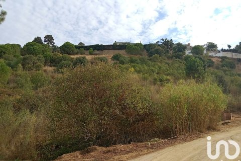 Купить земельный участок в Сан-Себрия-де-Вальяльта, Испания 11000м², № 5113 - фото 12