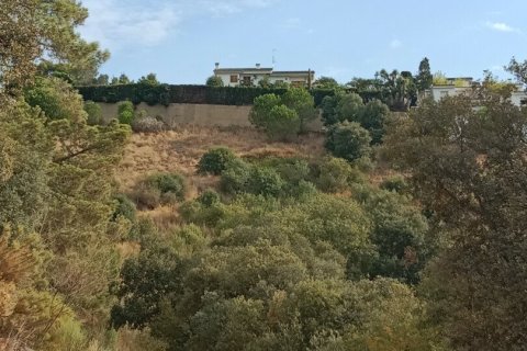 Купить земельный участок в Сан-Себрия-де-Вальяльта, Испания 11000м², № 5113 - фото 14