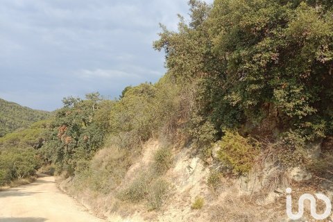 Купить земельный участок в Сан-Себрия-де-Вальяльта, Испания 11000м², № 5113 - фото 15