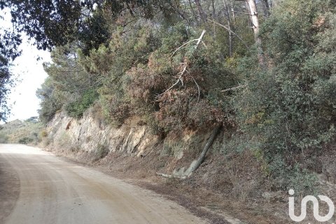 Купить земельный участок в Сан-Себрия-де-Вальяльта, Испания 11000м², № 5113 - фото 7