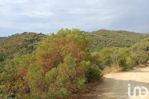 Земельный участок 11000м² в Сан-Себрия-де-Вальяльте, Барселона, Каталония, Испания № 5113