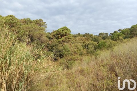 Купить земельный участок в Сан-Себрия-де-Вальяльта, Испания 11000м², № 5113 - фото 8