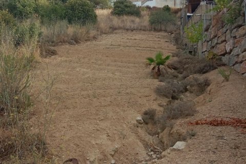 Купить земельный участок в Сан-Себрия-де-Вальяльта, Испания 11000м², № 5113 - фото 3