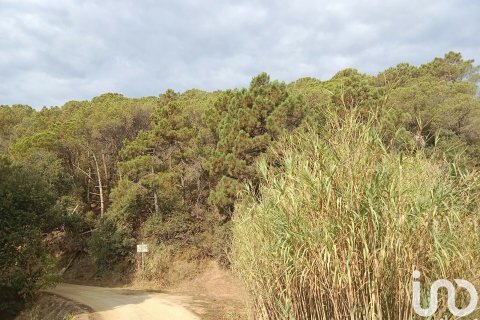 Купить земельный участок в Сан-Себрия-де-Вальяльта, Испания 11000м², № 5113 - фото 9