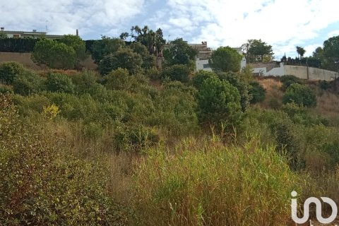 Купить земельный участок в Сан-Себрия-де-Вальяльта, Испания 11000м², № 5113 - фото 11