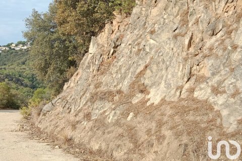 Купить земельный участок в Сан-Себрия-де-Вальяльта, Испания 11000м², № 5113 - фото 13