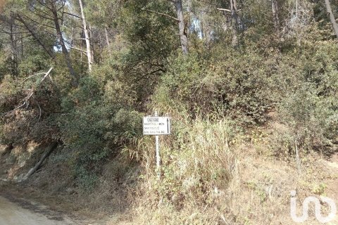 Купить земельный участок в Сан-Себрия-де-Вальяльта, Испания 11000м², № 5113 - фото 10