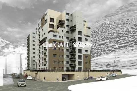 2 bedrooms apartment for sale in Principado De Andorra (Ninguna Poblacion Tiene C.P.), Lleida, Catalonia, Spain № 5368 - photo 2