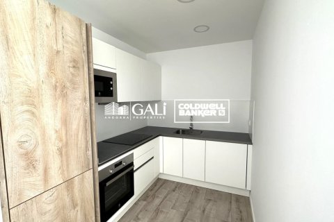 2 bedrooms apartment for sale in Principado De Andorra (Ninguna Poblacion Tiene C.P.), Lleida, Catalonia, Spain № 5368 - photo 4