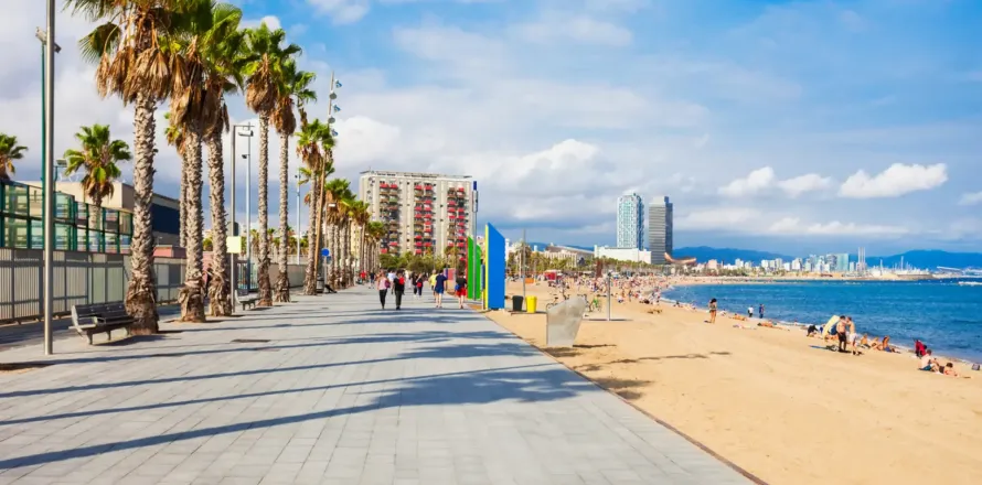 194 m² commercial property à vendre à Barcelona, Catalonia, Spain № 1767