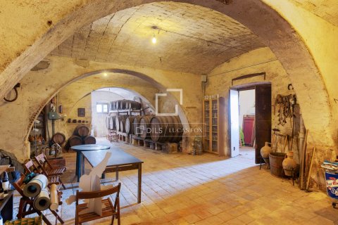 16 bedrooms house for sale in Sant Vicenc De Montalt, Barcelona, Catalonia, Spain № 6274 - photo 5