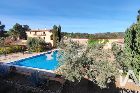 15 bedrooms house for sale in El Molar, Tarragona, Catalonia, Spain № 7458 - photo 18