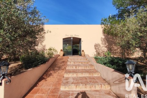 15 bedrooms house for sale in El Molar, Tarragona, Catalonia, Spain № 7458 - photo 10