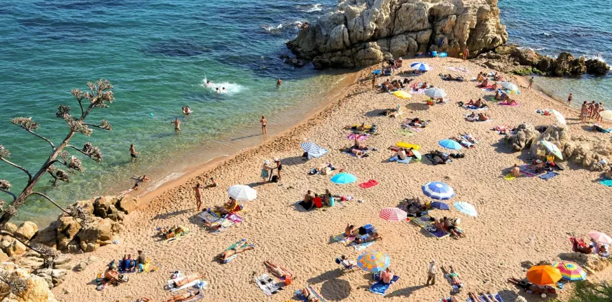 commercial property à vendre à Sant Pol de Mar, Barcelona, Catalonia, Spain № 1701