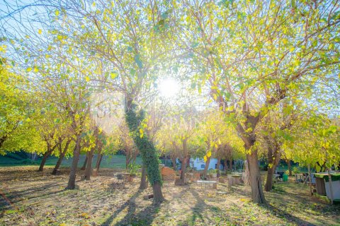 4 bedrooms house for sale in Sant Pol de Mar, Barcelona, Catalonia, Spain № 6716 - photo 25