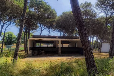 5 bedrooms house for sale in Caldes de Malavella, Girona, Catalonia, Spain № 6715 - photo 28