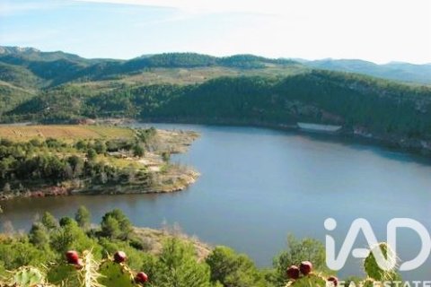 Купить земельный участок в Эльс Гиаметс, Испания 88500м², № 4676 - фото 13