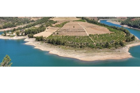 Купить земельный участок в Эльс Гиаметс, Испания 88500м², № 4676 - фото 15