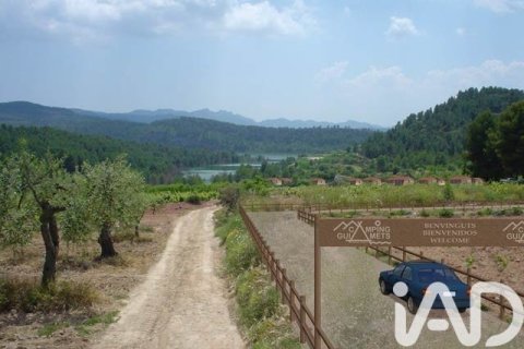 Купить земельный участок в Эльс Гиаметс, Испания 88500м², № 4676 - фото 8