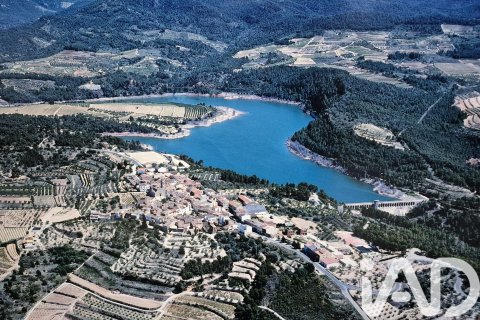 Купить земельный участок в Эльс Гиаметс, Испания 88500м², № 4676 - фото 12