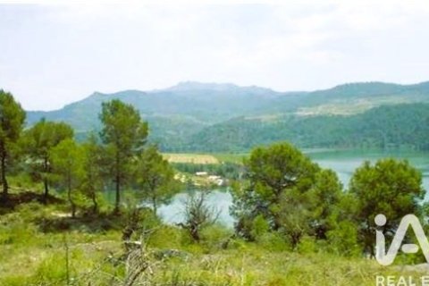 Купить земельный участок в Эльс Гиаметс, Испания 88500м², № 4676 - фото 16