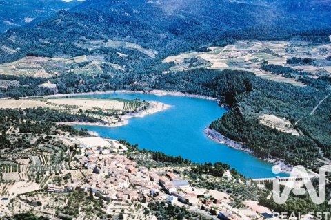 Купить земельный участок в Эльс Гиаметс, Испания 13473м², № 4675 - фото 6