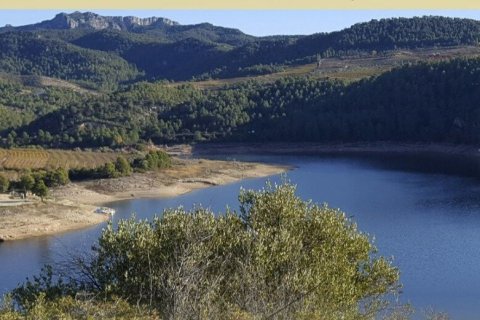 Купить земельный участок в Эльс Гиаметс, Испания 13473м², № 4675 - фото 2