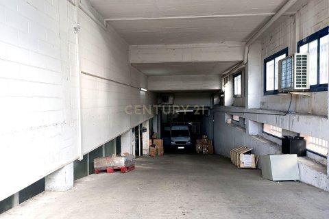 1284 sq.m. commercial property for sale in Mataro, Barcelona, Catalonia, Spain № 7027 - photo 6