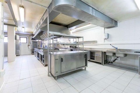 Купить дуплекс в Барселона, Испания 1471м², № 2325 - фото 10