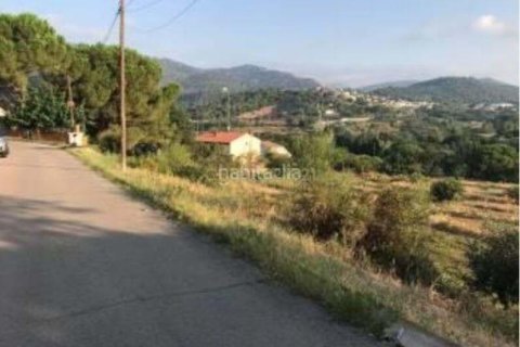 Купить земельный участок в Кальдес-де-Монтбуи, Испания 14688м², № 2326 - фото 5