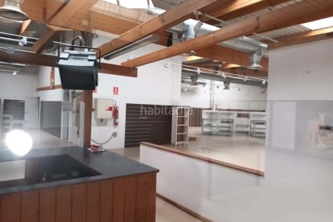 Купить коммерческую недвижимость в Молле-дель-Вальес, Испания 493м², № 2328 - фото 11