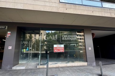 395 m² commercial property à louer à Principado De Andorra (Ninguna Poblacion Tiene C.P.), Lleida, Catalonia, Spain № 6114 - photo 4