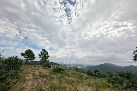 Купить земельный участок в Жирона, Испания 242246м², № 7926 - фото 4
