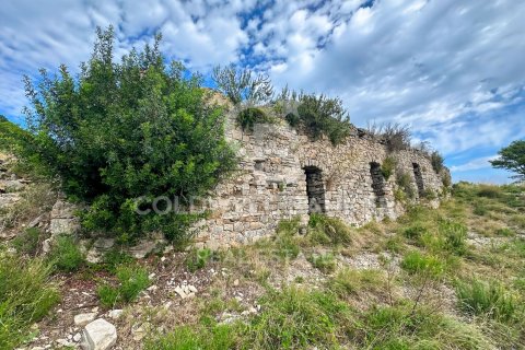 Купить земельный участок в Жирона, Испания 242246м², № 7926 - фото 13