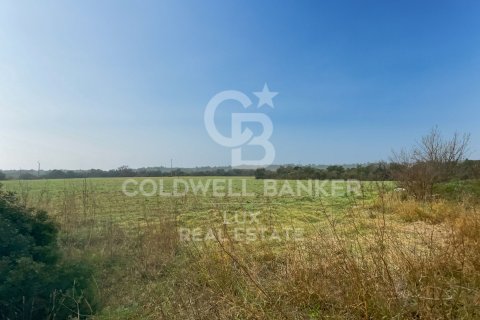 Земельный участок 413389м² в Пераладе, Герона, Каталония, Испания № 5568