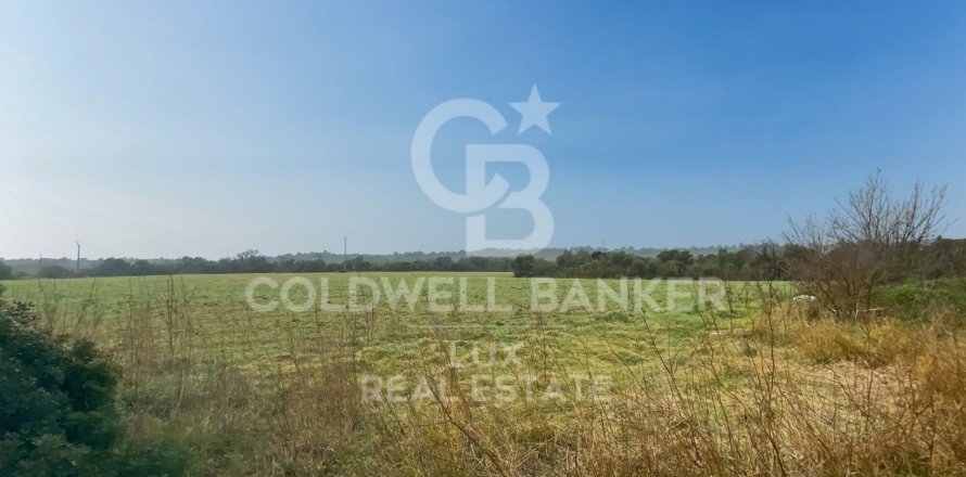 413389 sq.m. land plot for sale in Peralada, Girona, Catalonia, Spain № 5568