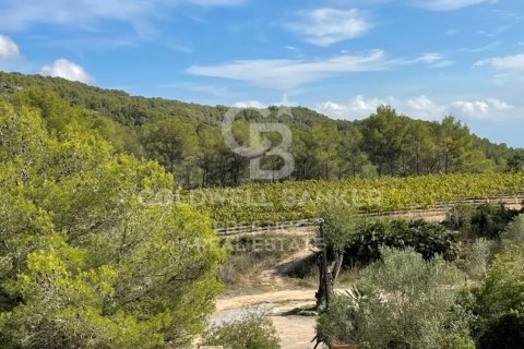 18 bedrooms house for sale in Vilanova i la Geltru, Barcelona, Catalonia, Spain № 6078 - photo 25