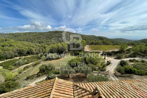 18 bedrooms house for sale in Vilanova i la Geltru, Barcelona, Catalonia, Spain № 6078 - photo 5