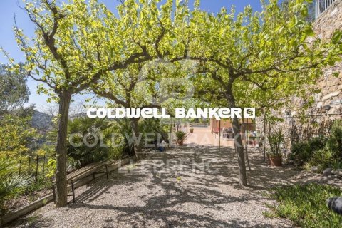 8 bedrooms house for sale in Barcelona, Catalonia, Spain № 6084 - photo 17