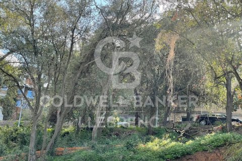 Купить земельный участок в Барселона, Испания 600м², № 6079 - фото 5