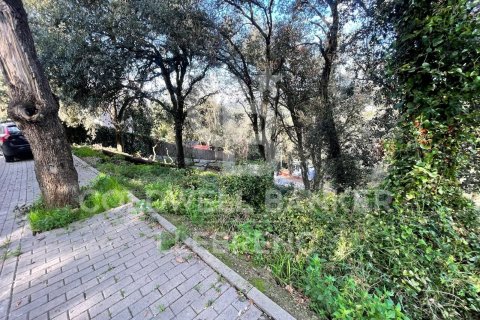 Купить земельный участок в Барселона, Испания 600м², № 6079 - фото 8