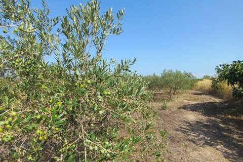 Купить дом в Раскера, Испания с 3 спальни, 124м², № 4830 - фото 17