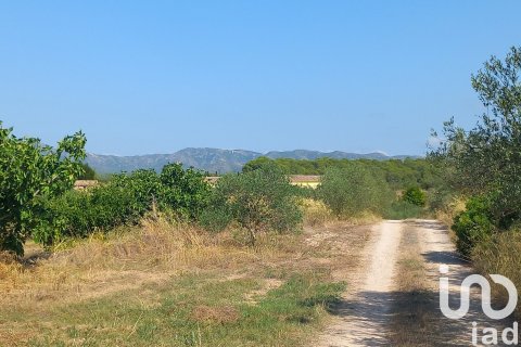 Купить дом в Раскера, Испания с 3 спальни, 124м², № 4830 - фото 15