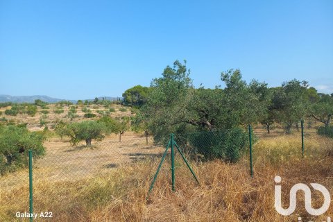 Купить дом в Раскера, Испания с 3 спальни, 124м², № 4830 - фото 24