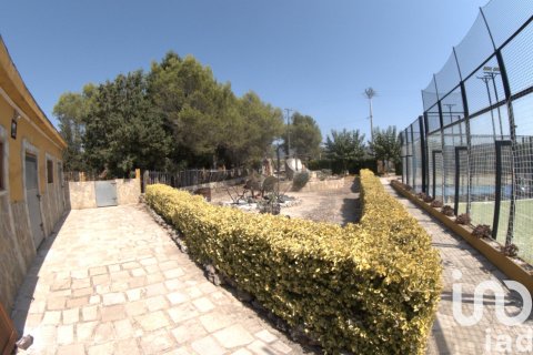 Купить земельный участок в Ульдекона, Испания 32675м², № 4827 - фото 21